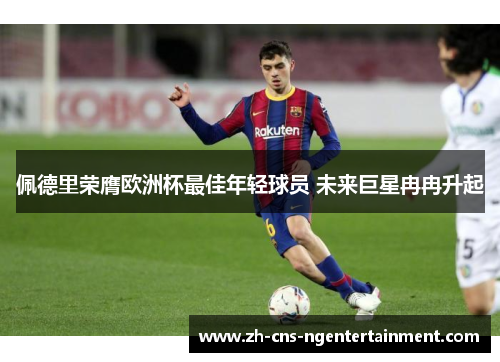 佩德里荣膺欧洲杯最佳年轻球员 未来巨星冉冉升起